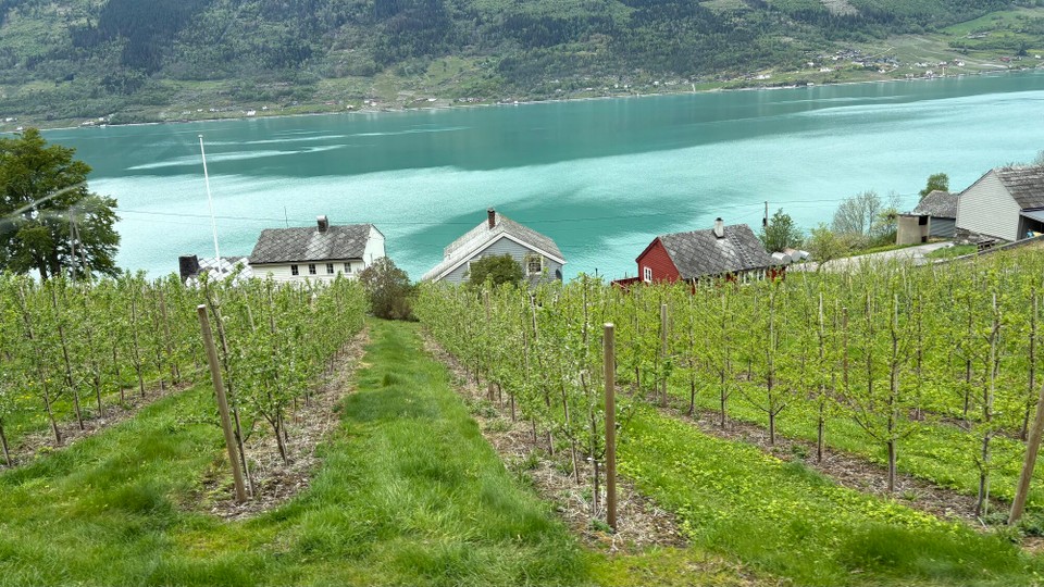 Norwegen - Mauranger - Hardangerfjord