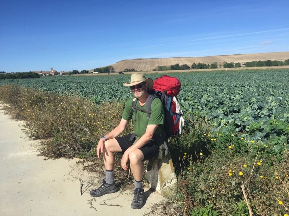  - Spain, Belorado - Camino shell post on the way to Redecilla del Camino