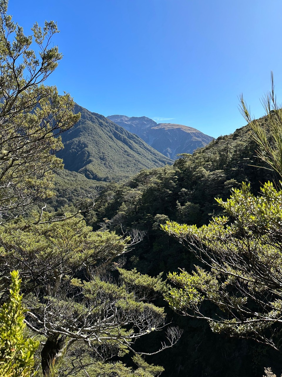 Neuseeland - Arthur’s Pass - 
