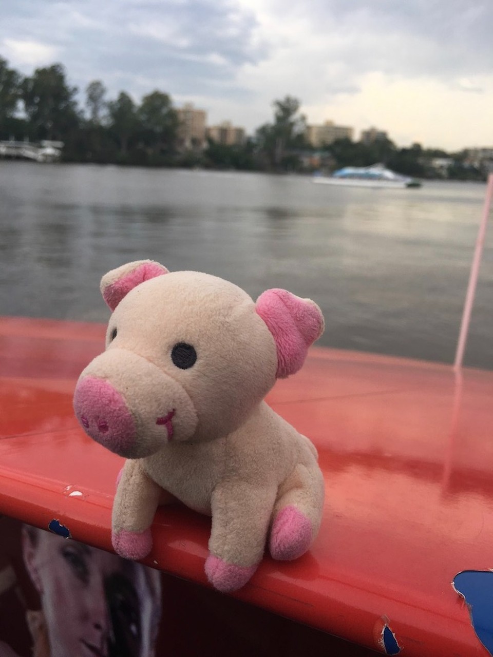 Australien - Brisbane City - City Cat - Kapitän auf dem Brisbane River