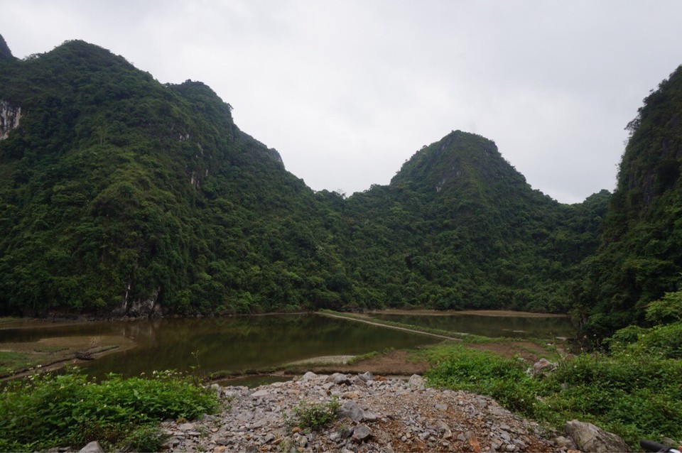 Vietnam -  - 