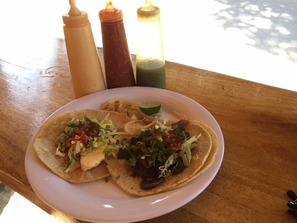 Mexiko - San Pancho - Tacos: Absolutes Grundnahrungsmittel in verschiedensten Variationen hier in Mexiko - und sooooo lecker 🌮🌮🌮