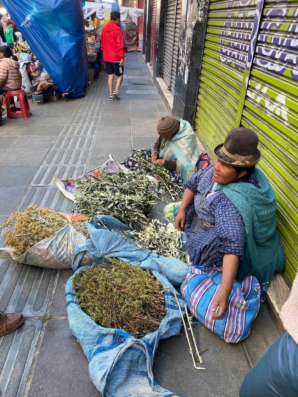 Bolivien - La Paz - Kräuterfrau am Hexenmarkt