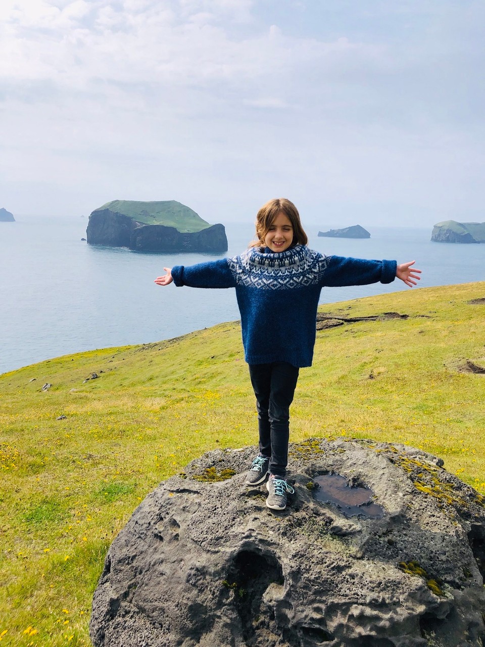 Island - Vestmannaeyjar - 😍