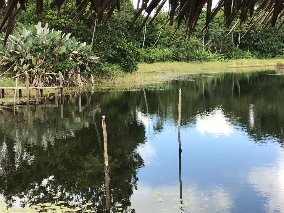 Costa Rica - San Carlos - 