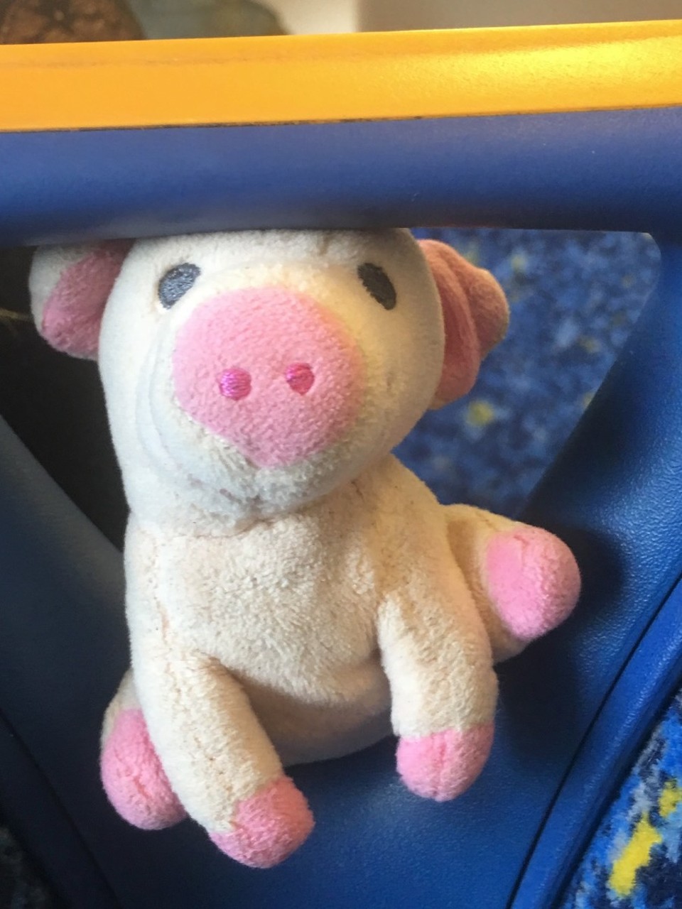 Neuseeland - Auckland - Letzte Zugfahrt in Sydney