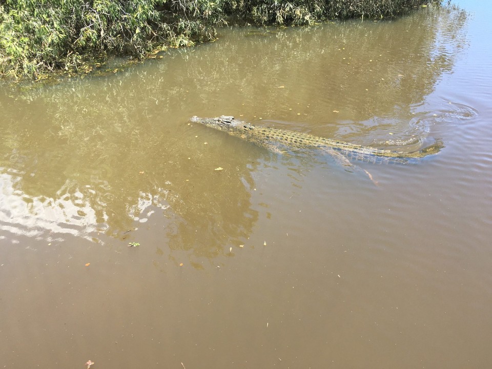 Australien - Kakadu - 