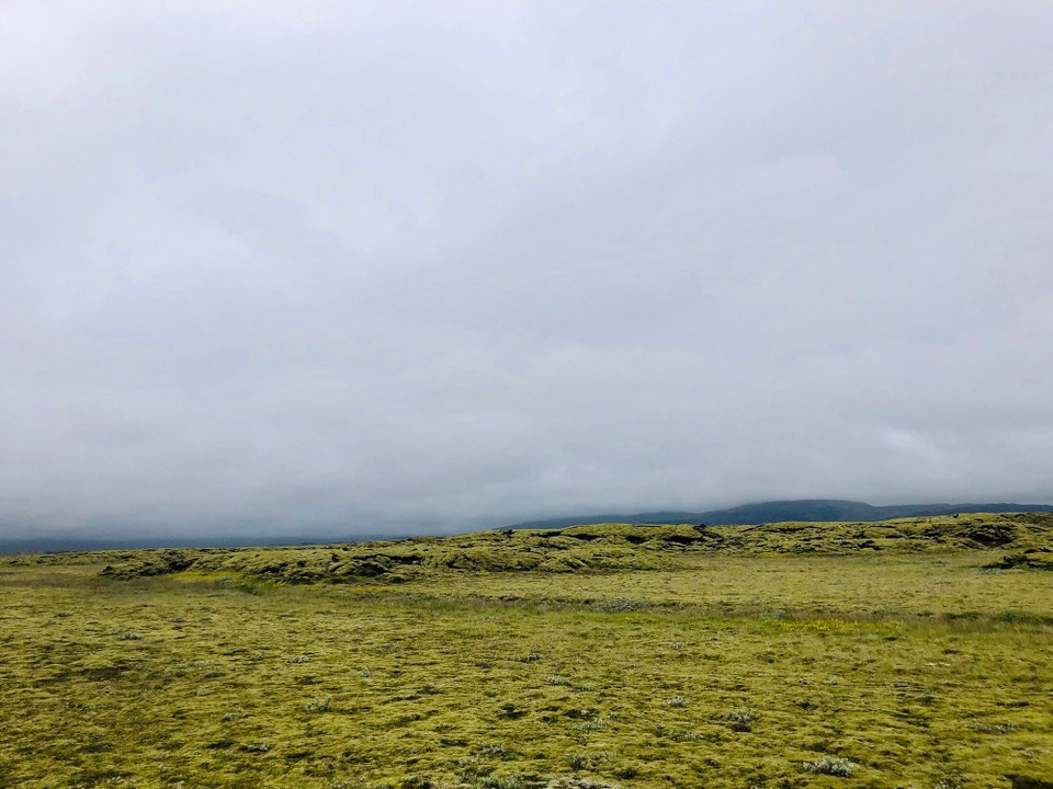 Island - Skaftárhreppur - Nun kommen wir langsam in die Region um Kirkjubærklaustur herum. Hier beginnt das grosse Lavafeld Eldhraun.
