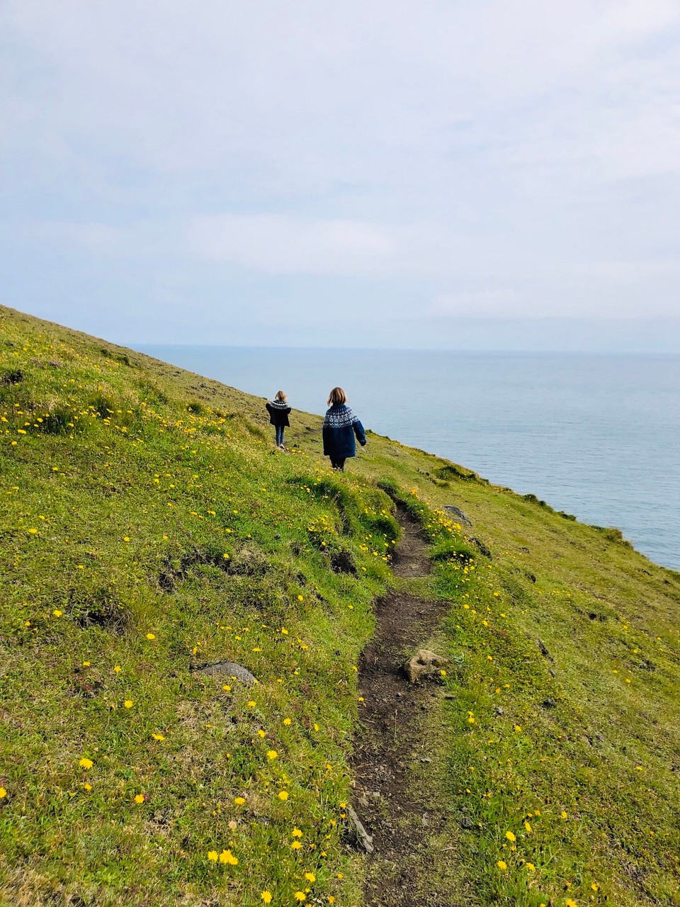Island - Vestmannaeyjar - Wir wandern herum und geniessen den Ausblick und die tolle Umgebung…