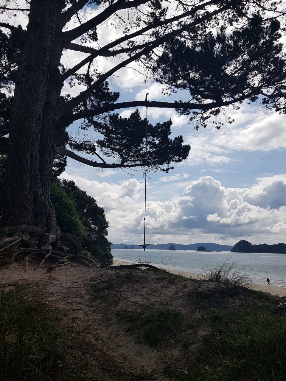 Neuseeland - Hahei - 