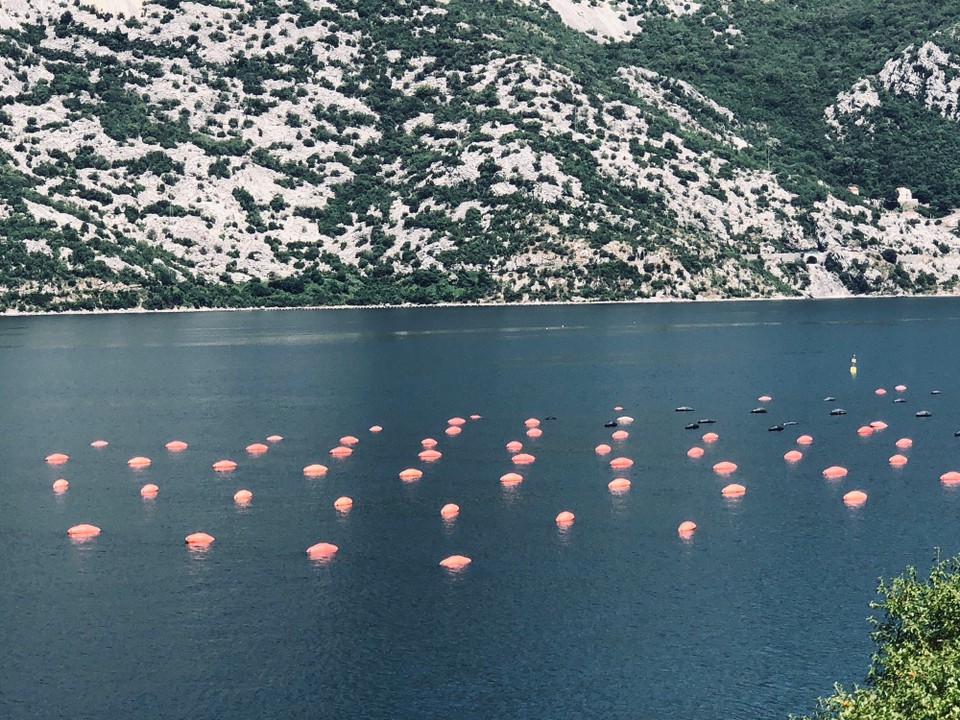 Montenegro - Perast - 