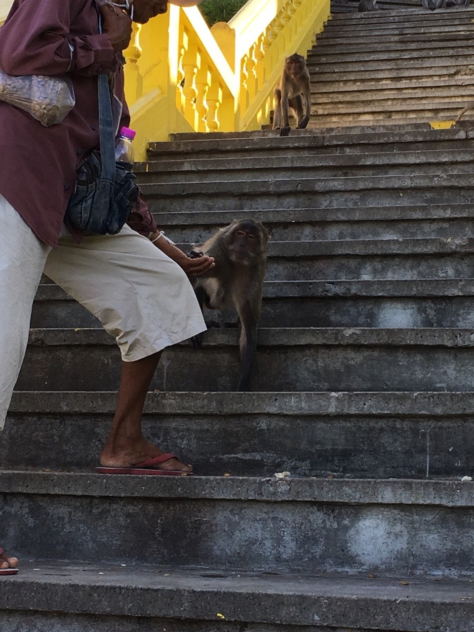 Thailand - Amphoe Sam Roi Yot - 