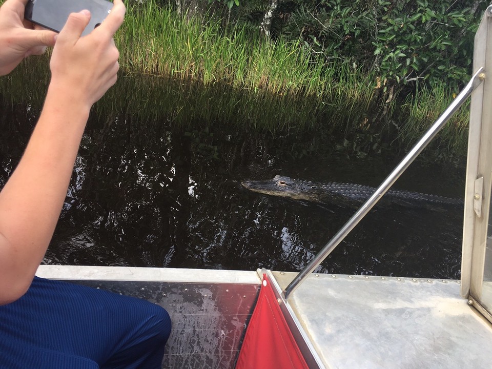  - Gator Park Everglades - 