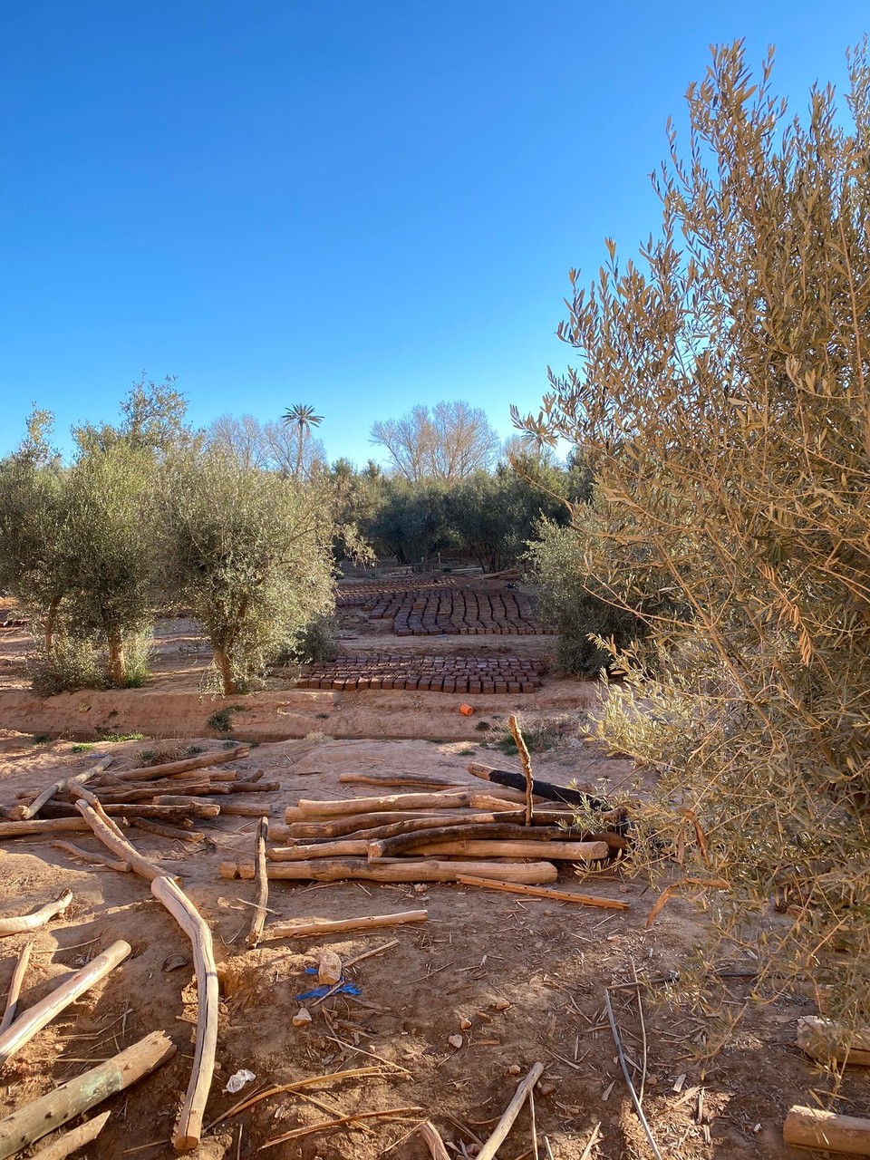 Marokko - Ouarzazate - 