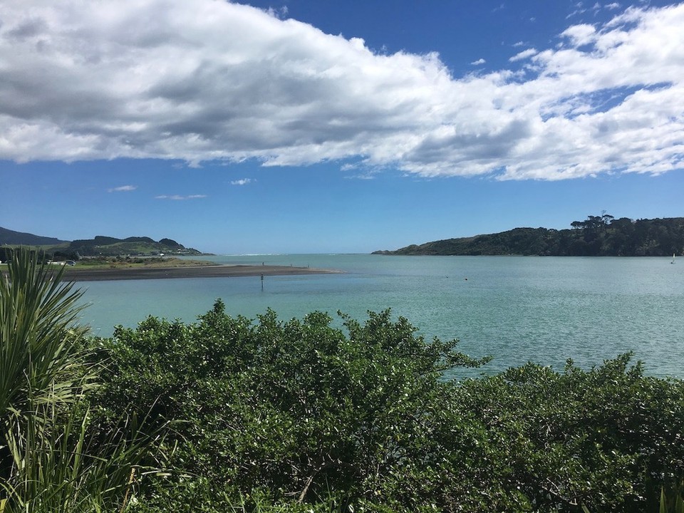 Neuseeland - Waitomo - 