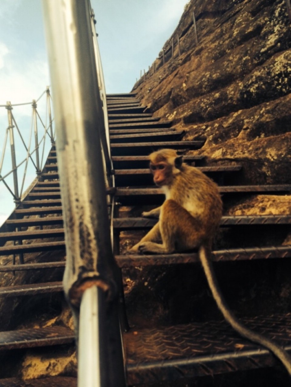 Sri Lanka - Sigiriya - 