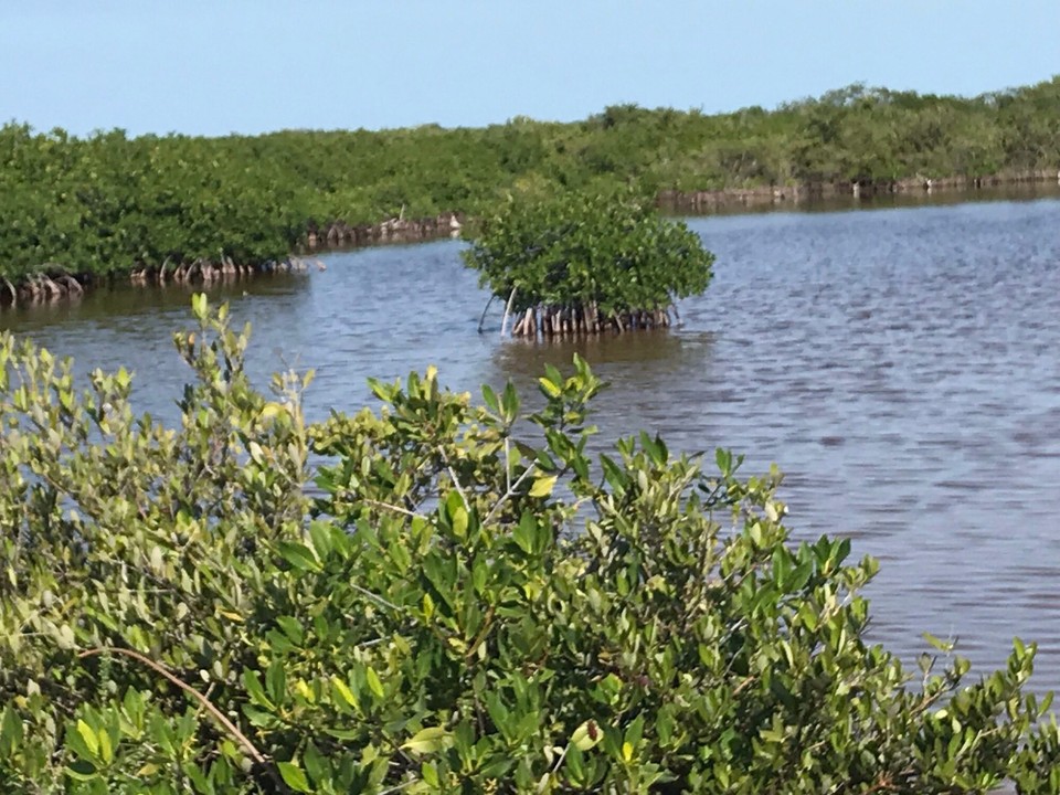 Belize - San Pedro - 