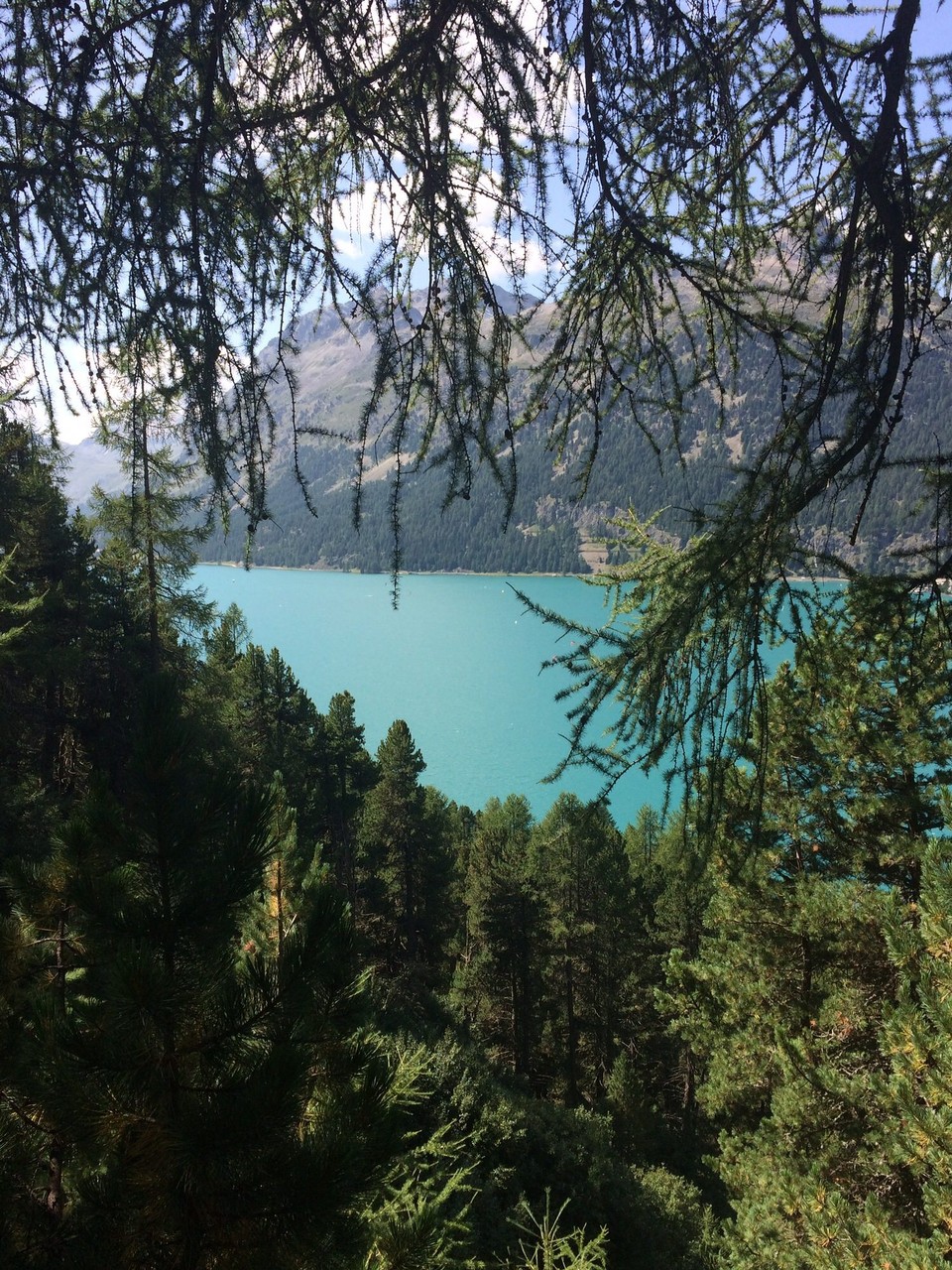 Schweiz - Silvaplana - 