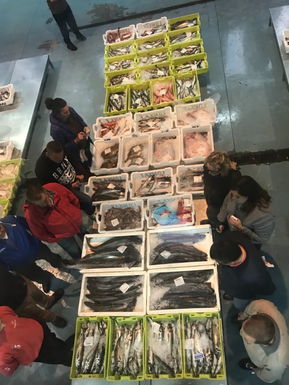 Spanien - Fisterra - Auf dem Fischmarkt wird hart verhandelt