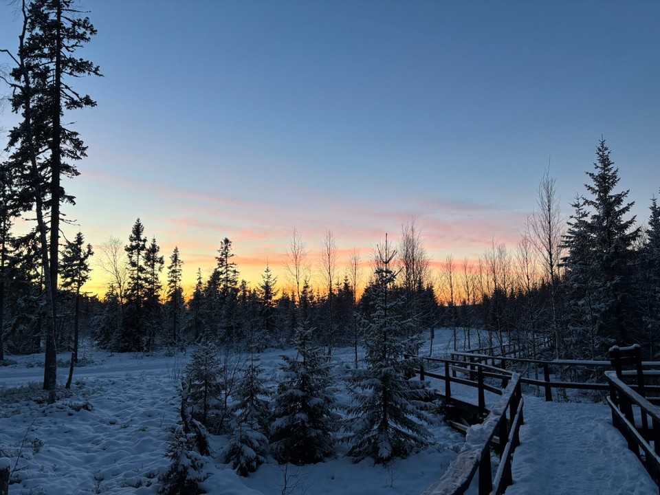 Schweden - Bjästa - Gegen 16 Uhr geht die Sonne unter