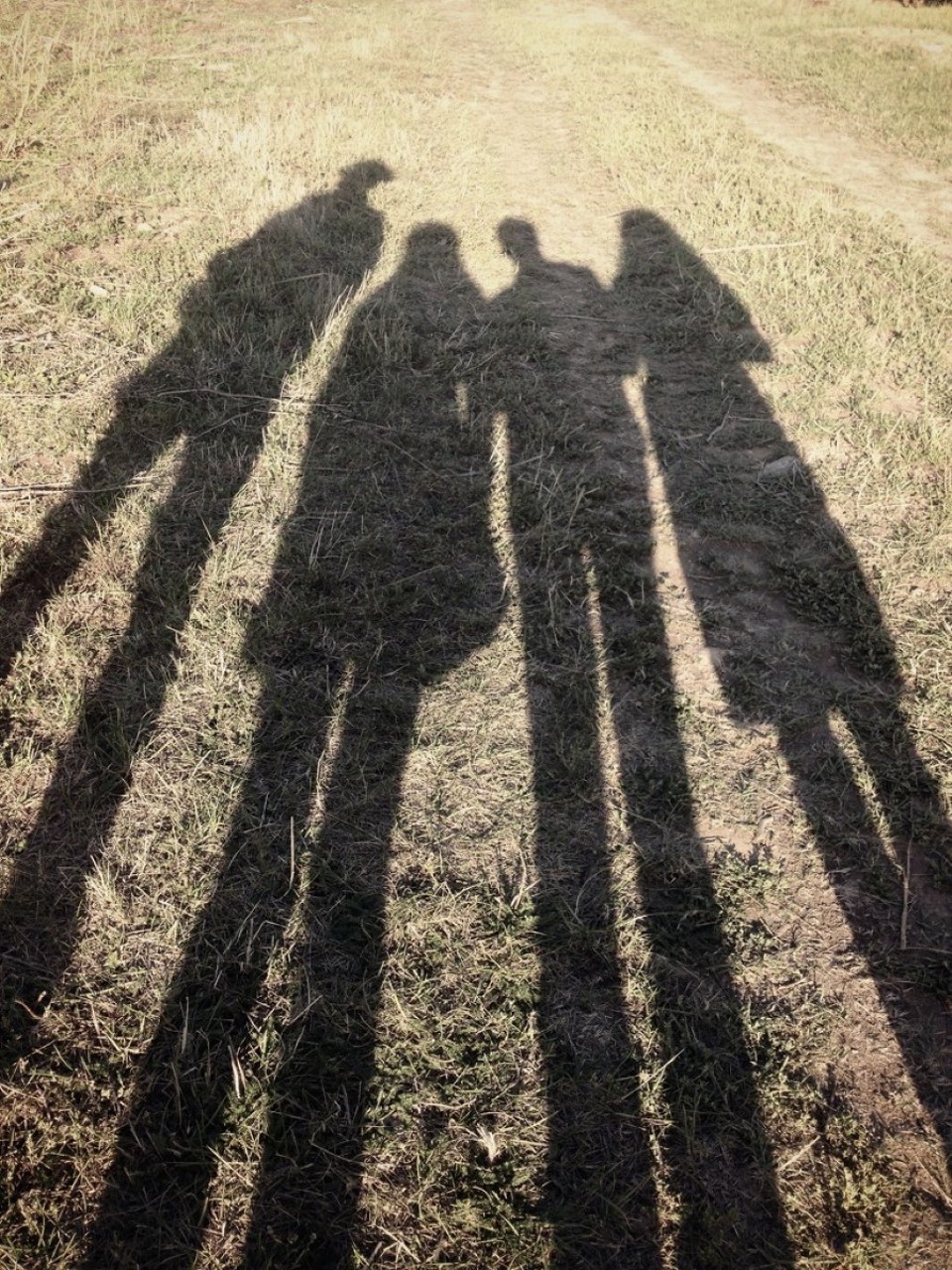 Deutschland - Geisenheim - 