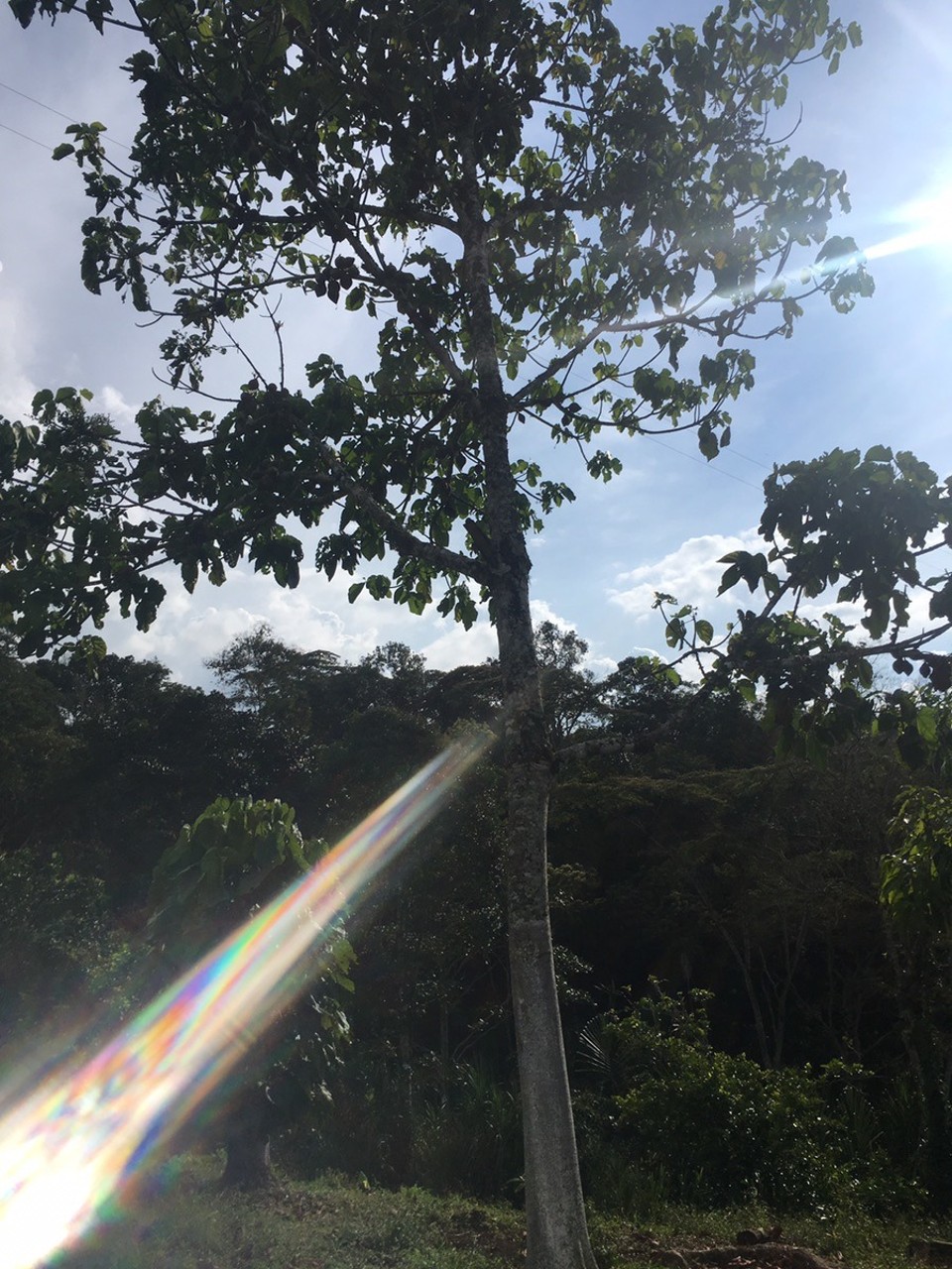  - Confines, Santander, Colombia - 