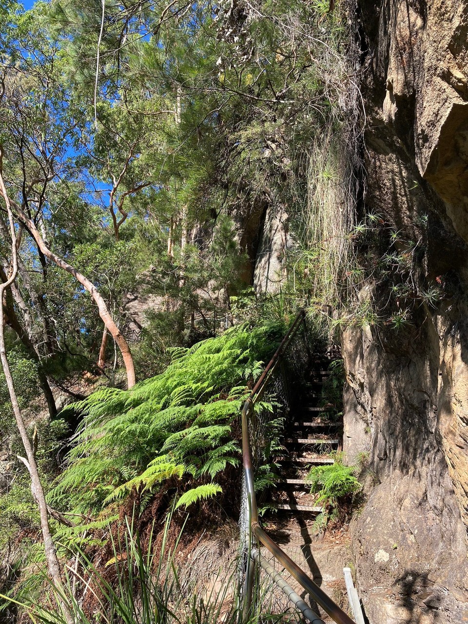 Australien - Katoomba - The Giant Stairway - laufen wir eben mal 998 Stufen hoch 🤷🏻‍♀️