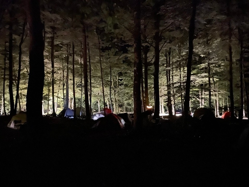 Slowenien - Bohinj - 