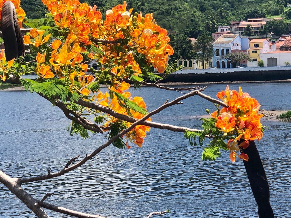 Brasilien - São Félix - 