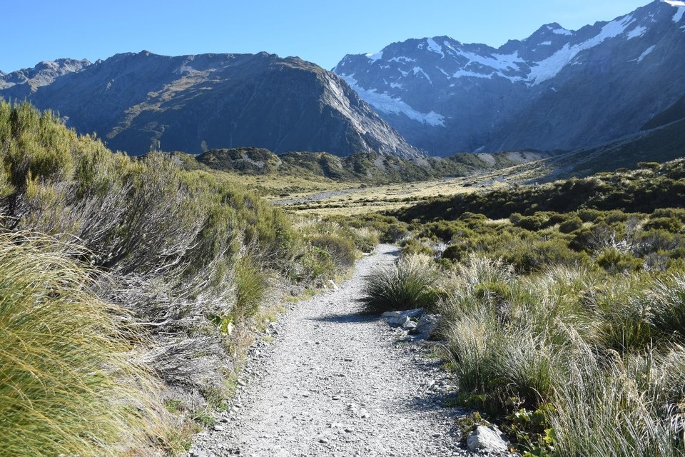Neuseeland - Mount Cook - 