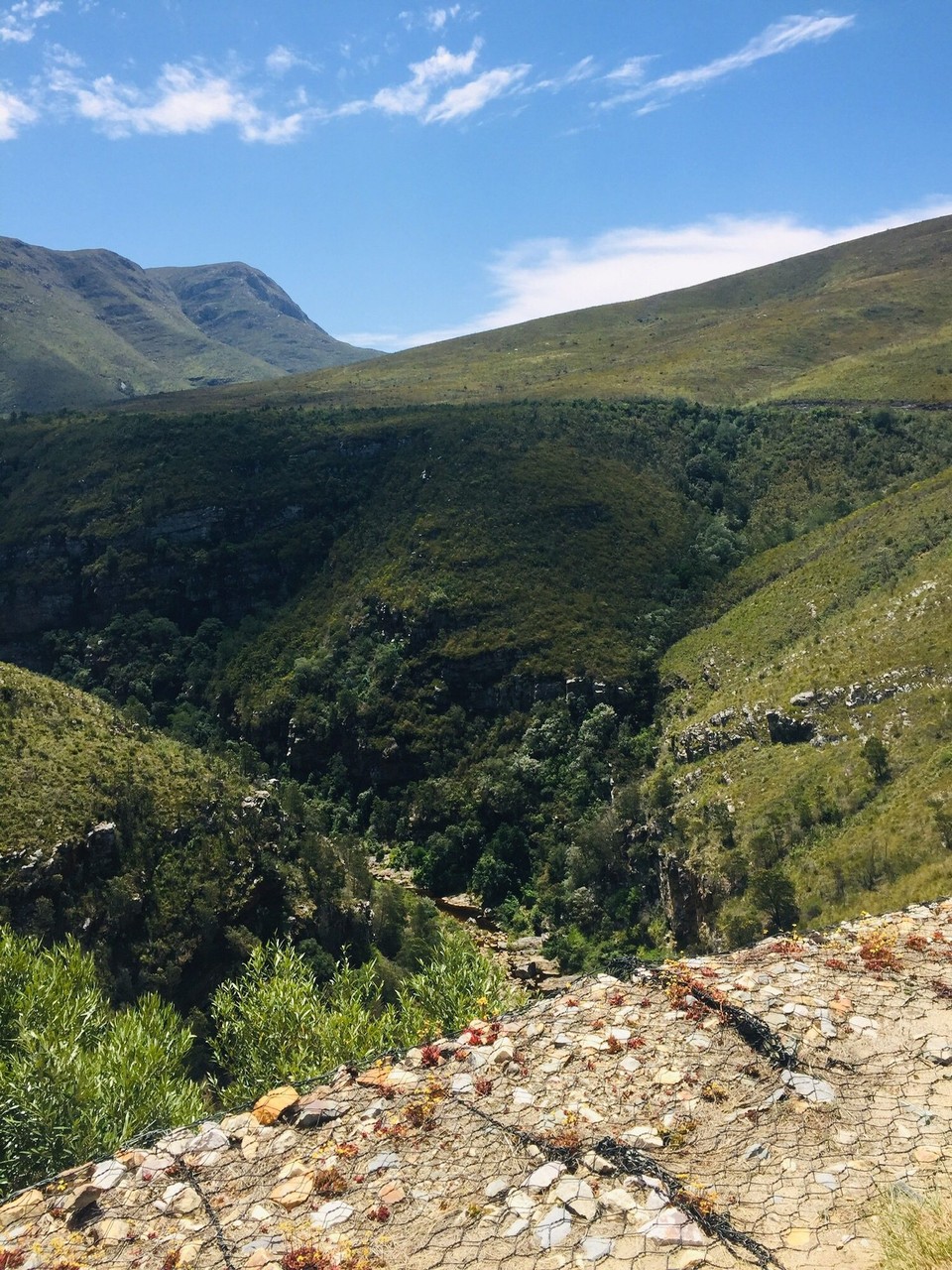 Südafrika -  - 