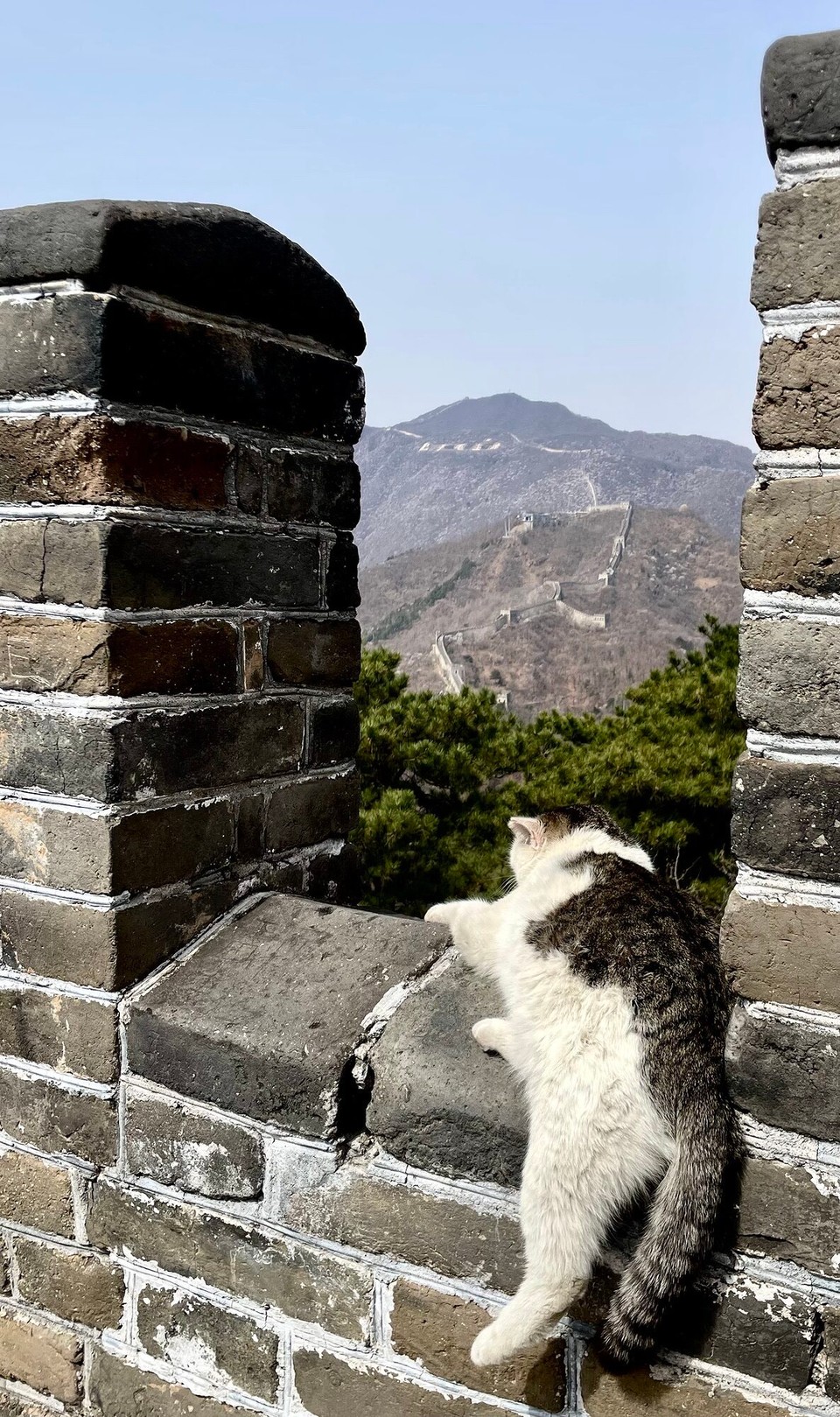 China - Beijing - Die het mol en super Usblick 