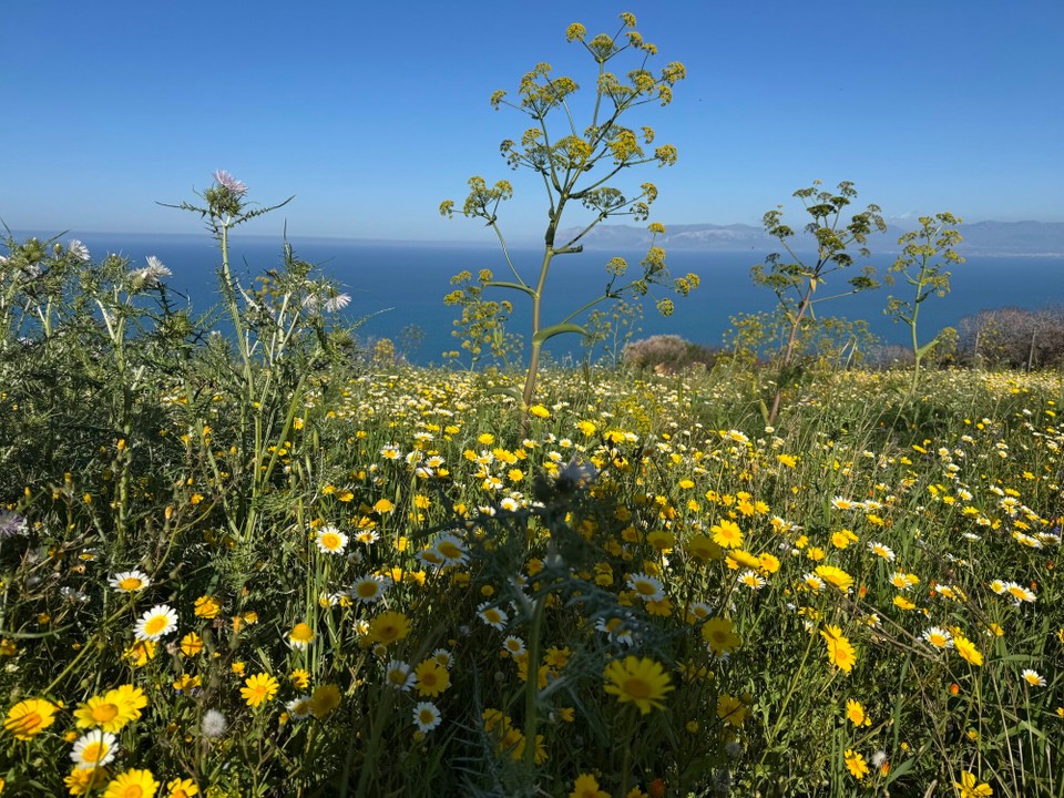 Italien - Castellammare del Golfo - 