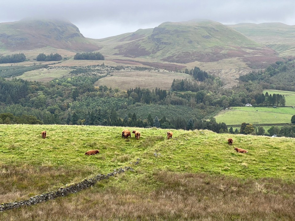Vereinigtes Königreich - Glasgow - 