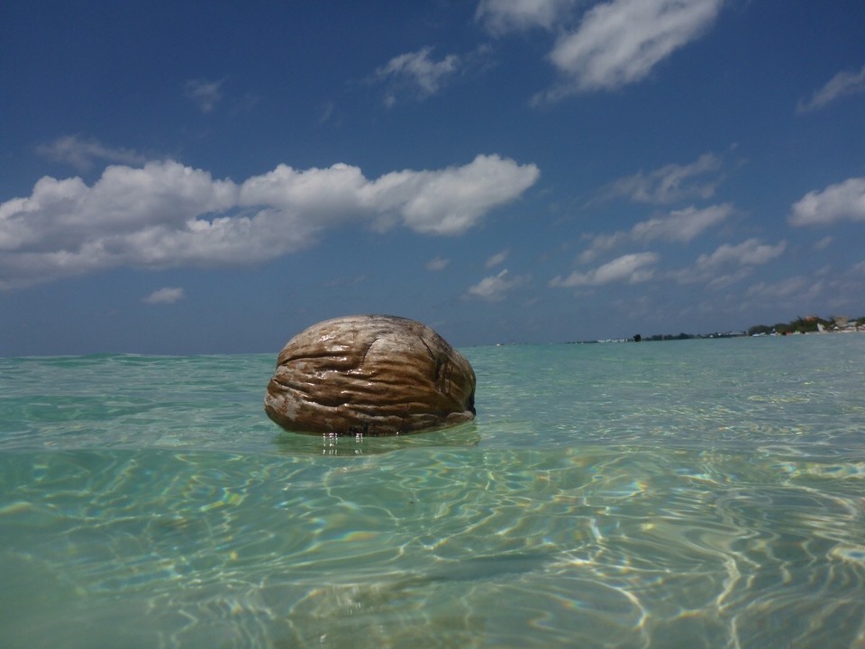 Kaimaninseln - Cayman Islands - 