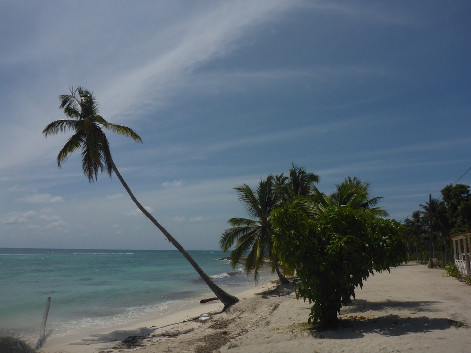 Dominikanische Republik -  - 