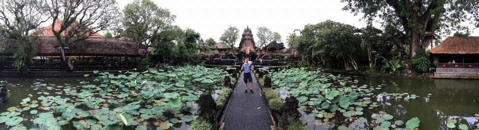 Indonesien - Gianyar - Paul in einem Meer aus Seerosen(blättern)