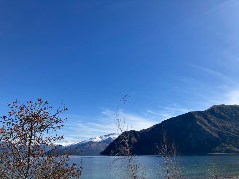 Neuseeland - Wanaka - 
