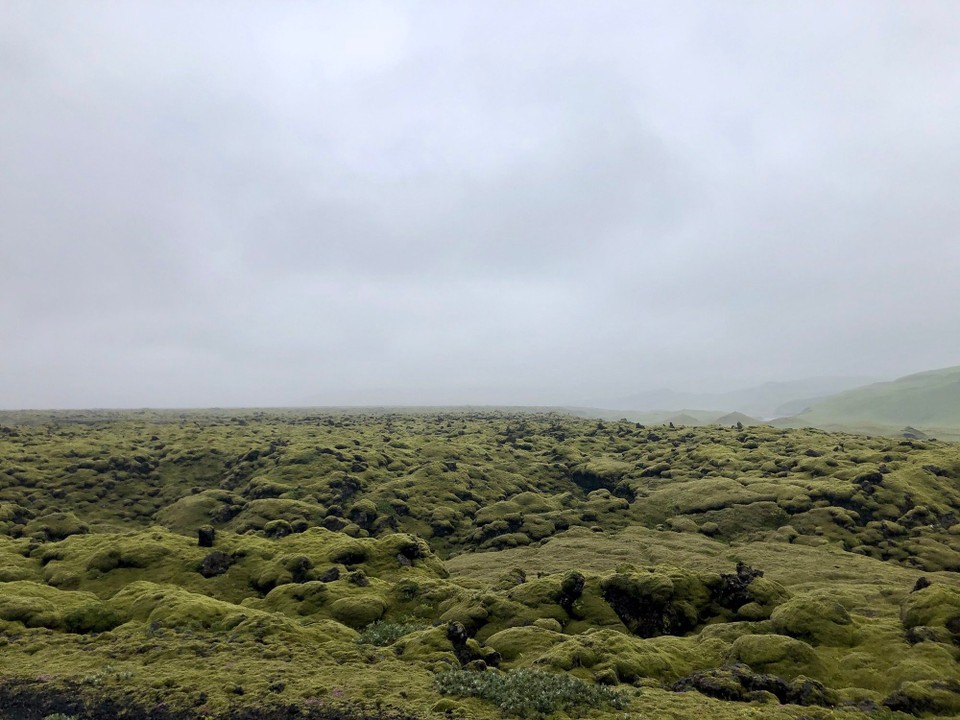 Island - Skaftárhreppur - Direkt auf der Ringstrasse, kurz vor oder nach dem Abzweig nach Laki, -genau hier also- liegt auf einer Anhöhe der beste Aussichtspunkt auf das Lavafeld Eldhraun. 