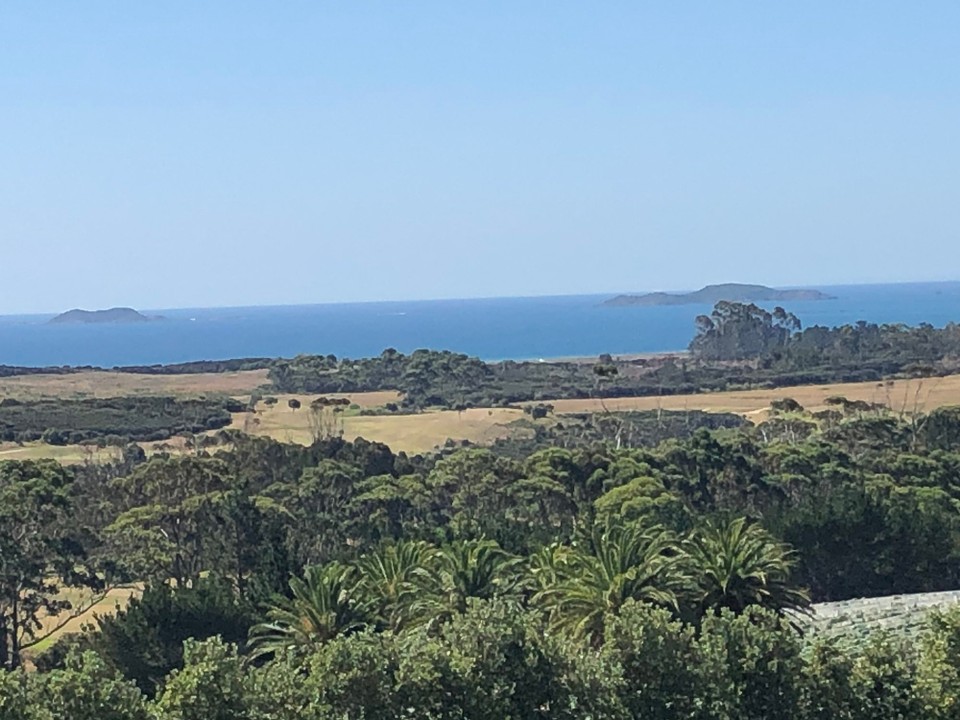 Neuseeland - Karikari Peninsula - Blick von der Karikari Estate in Richtung Karikari Beach