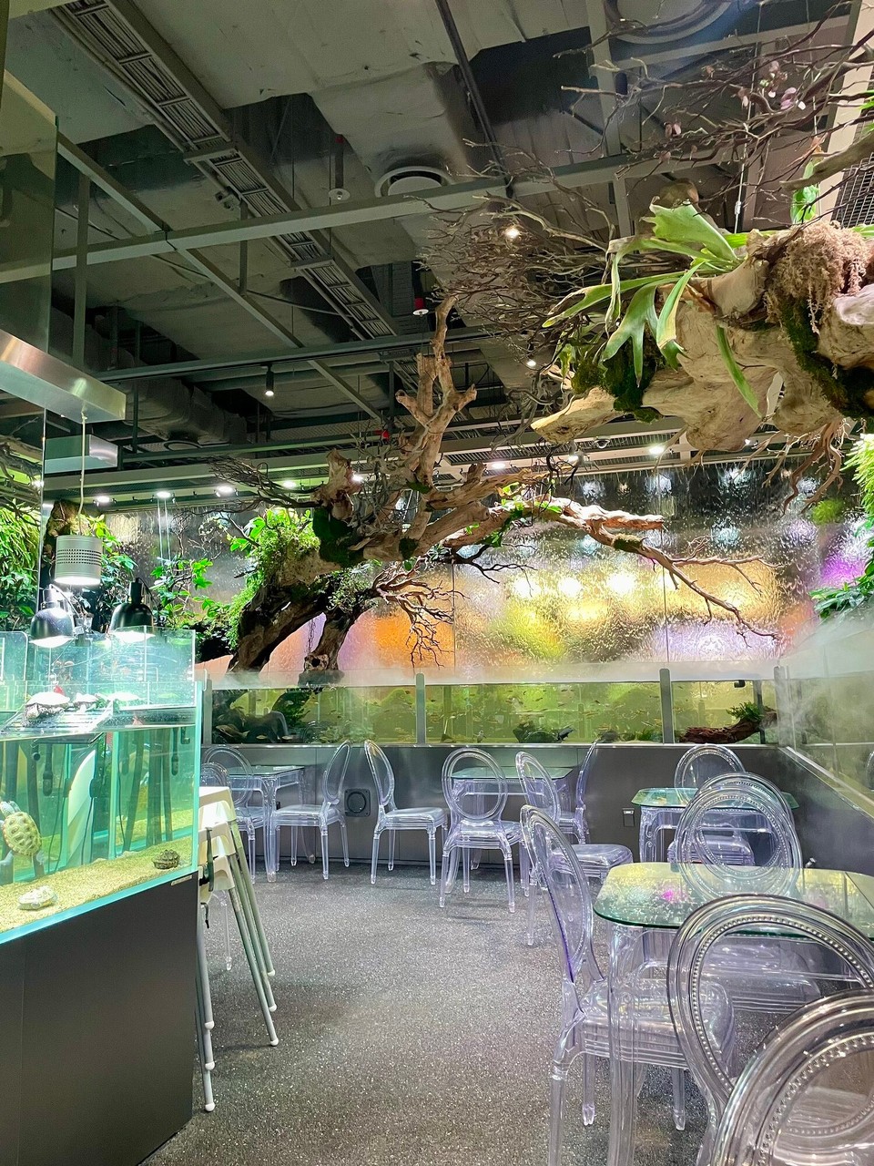 Südkorea - Seoul - Aquagarden Café