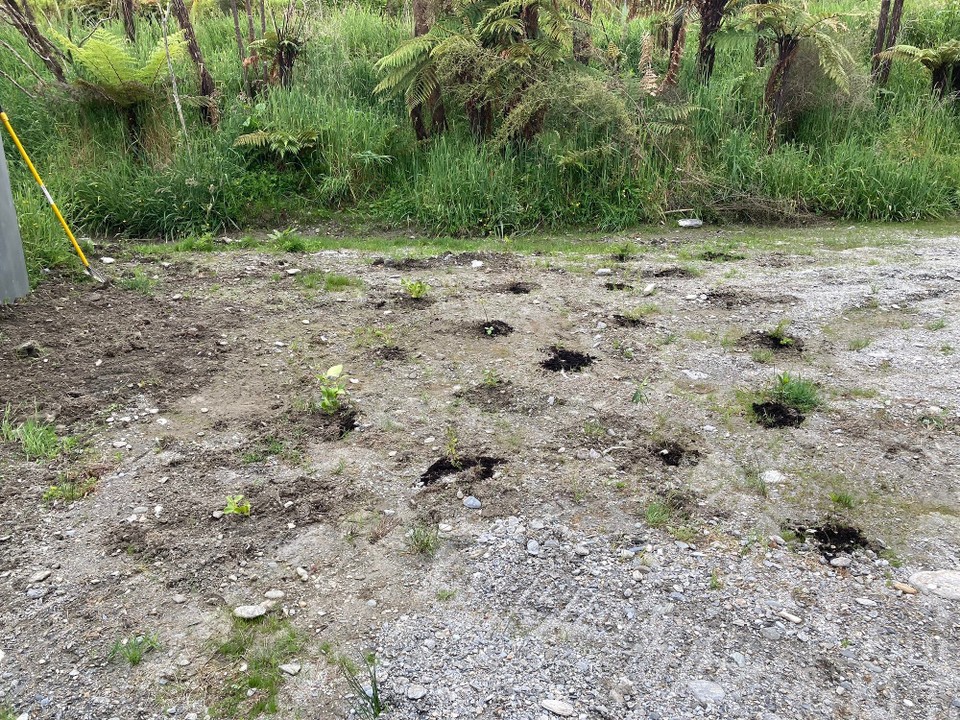 Neuseeland - Southern Ward - Bäumchen pflanzen und ein bisschen Gartenarbeit