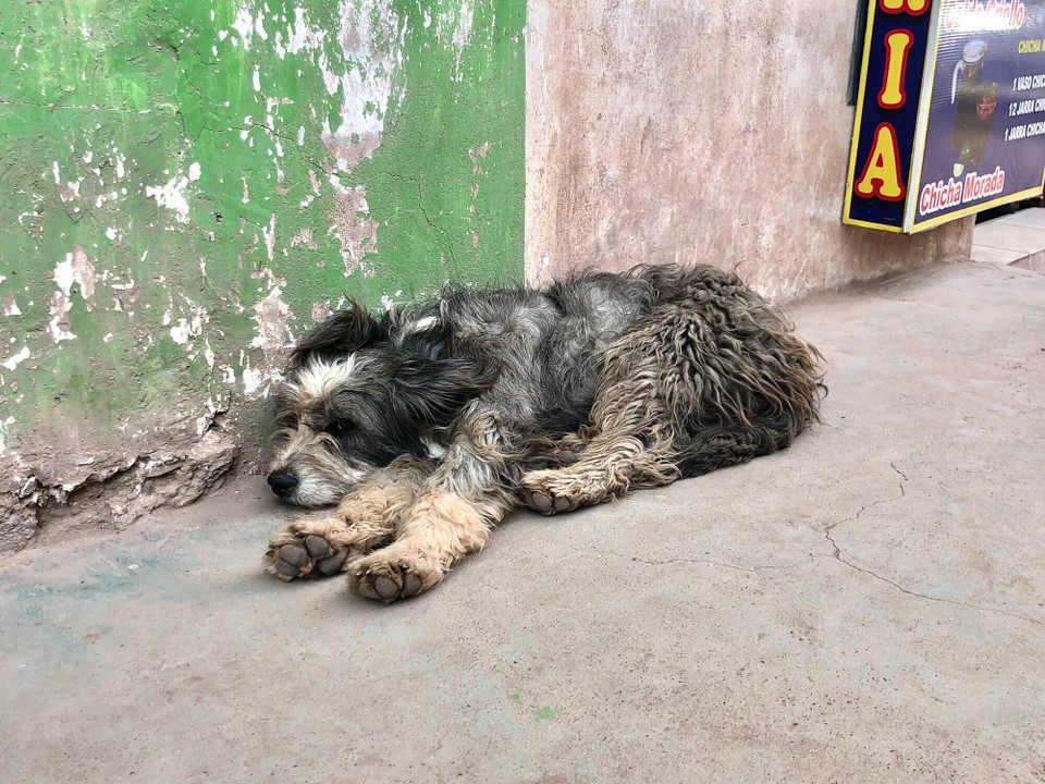 Peru - Cusco - 