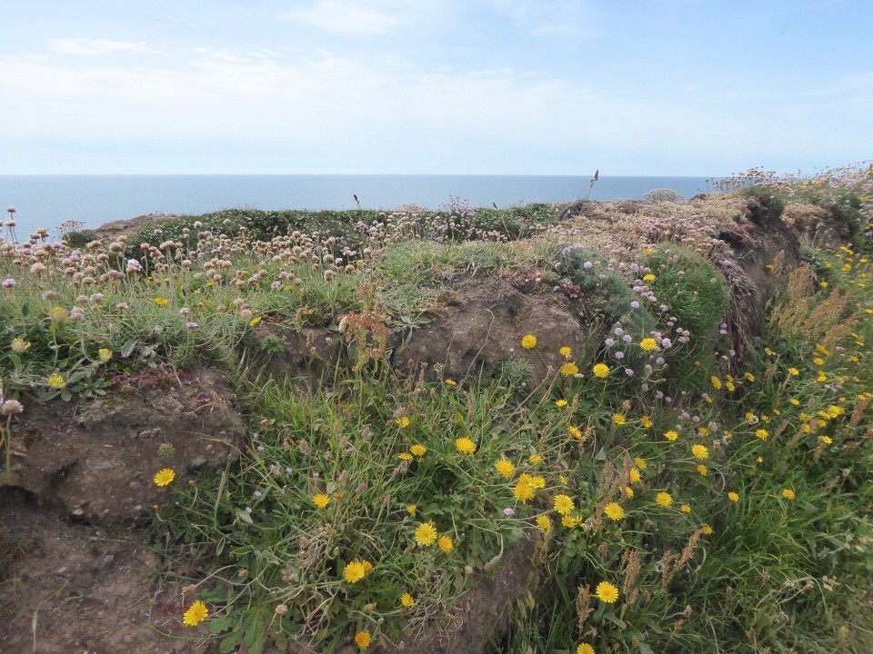 Ireland - Dunmore East - 