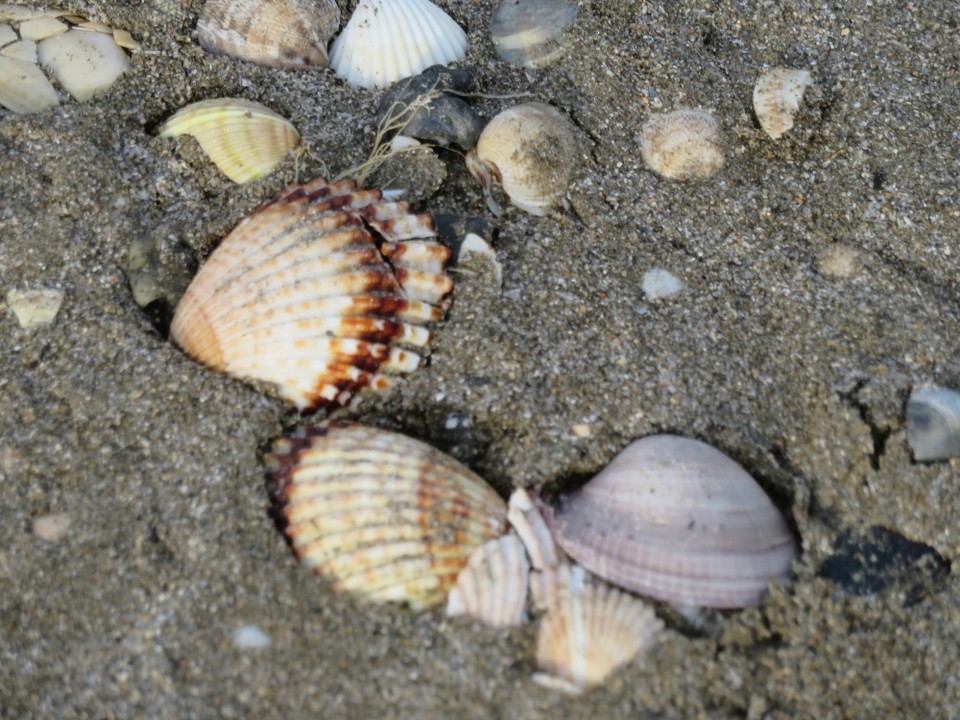 Italien - Lido di Venezia - 