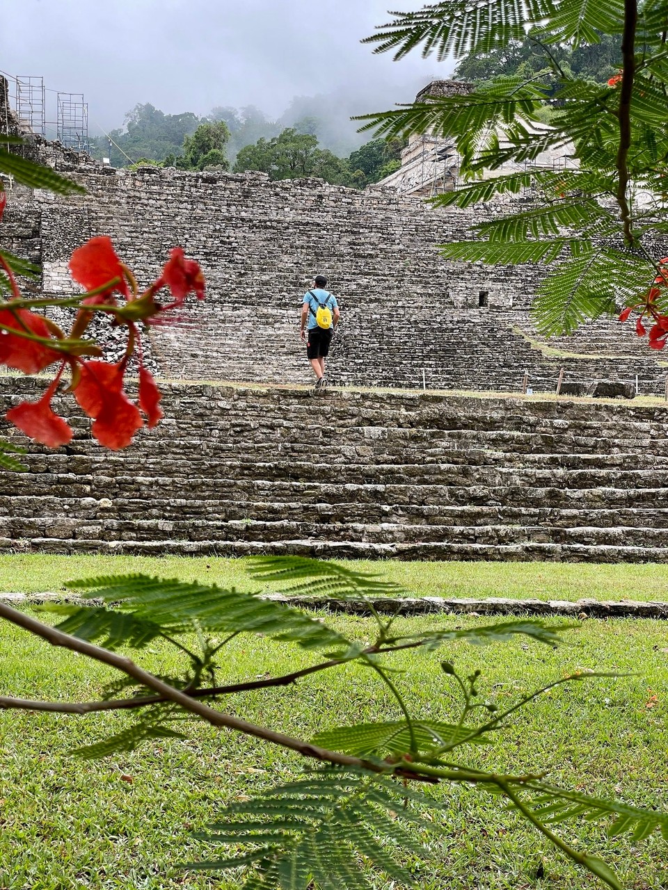 Mexiko - Palenque - 