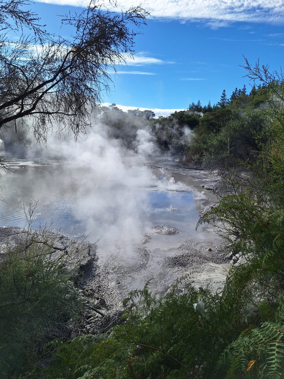 Neuseeland - Turangi - 