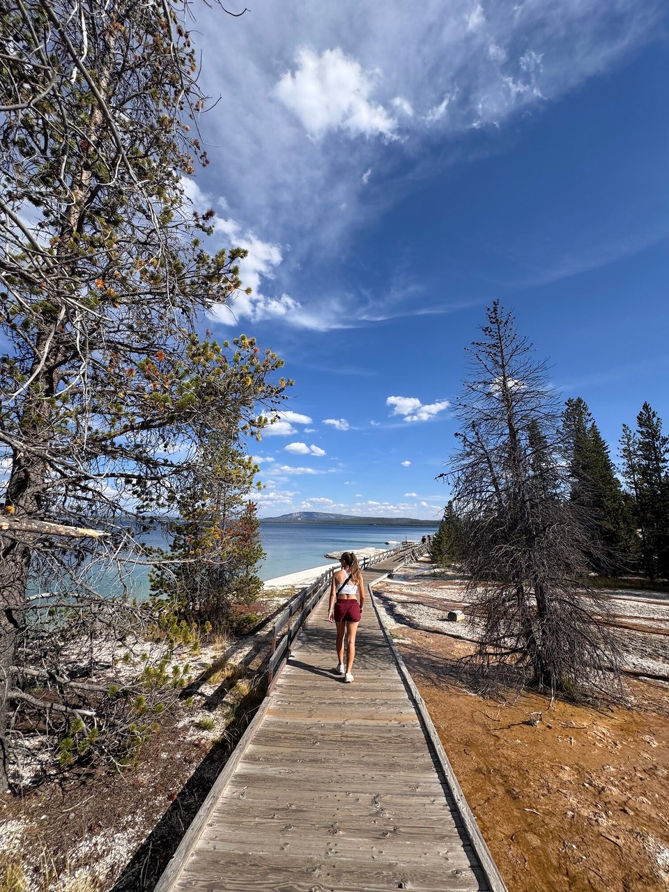 Vereinigte Staaten - Yellowstone National Park - 