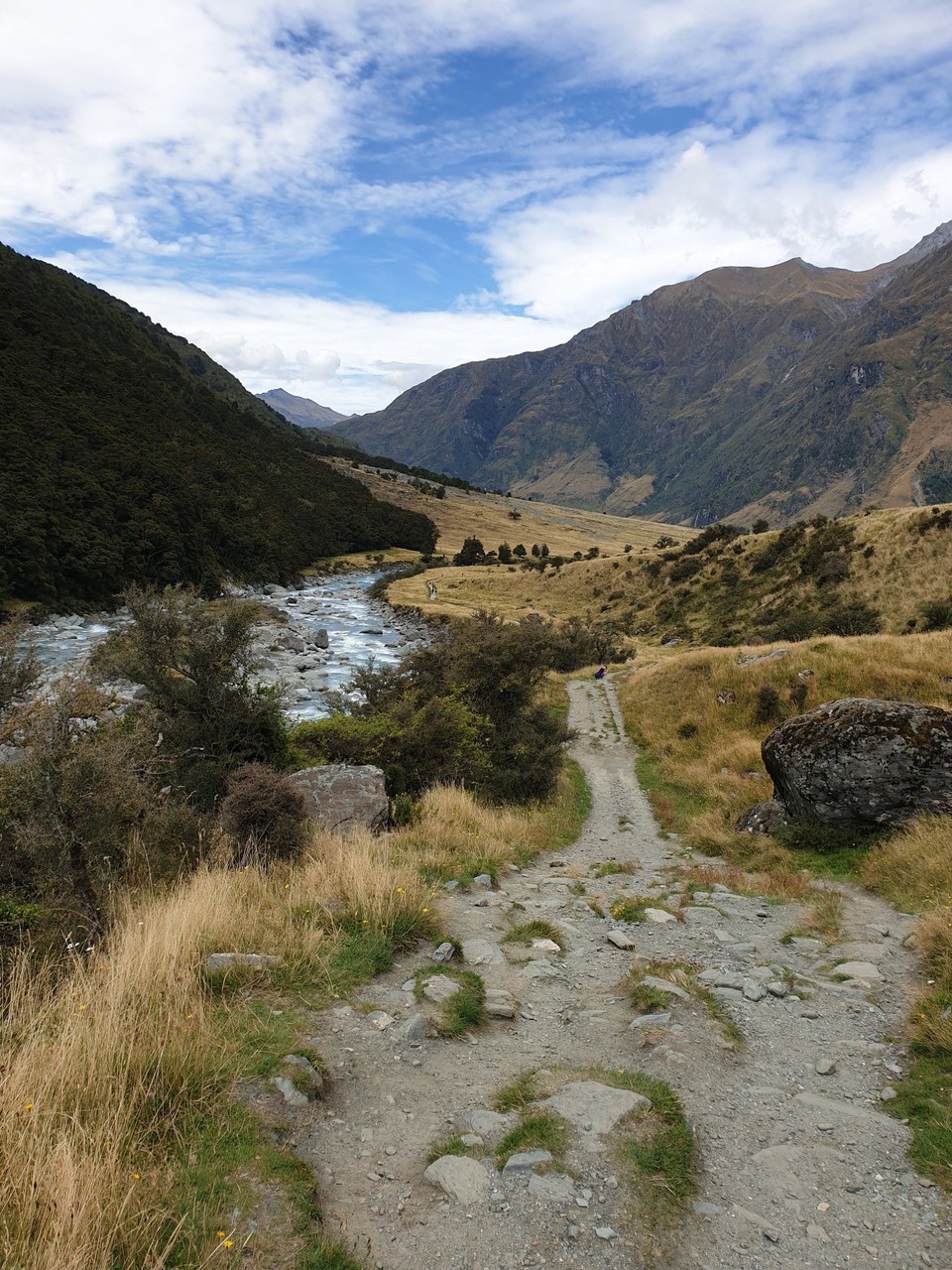 Neuseeland - Wanaka - 