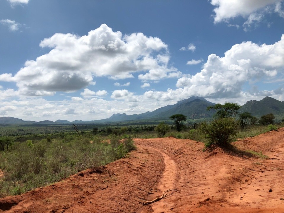 Kenia - Taita - 